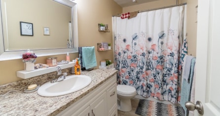 3732 Sauve Ave. - Bathroom